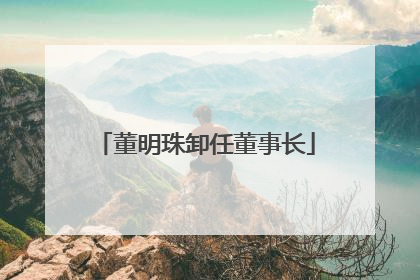 董明珠卸任董事长