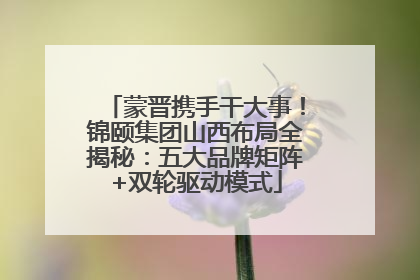 蒙晋携手干大事！锦颐集团山西布局全揭秘：五大品牌矩阵+双轮驱动模式