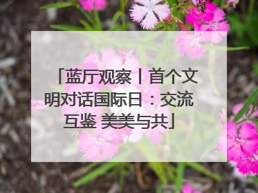 蓝厅观察丨首个文明对话国际日：交流互鉴 美美与共