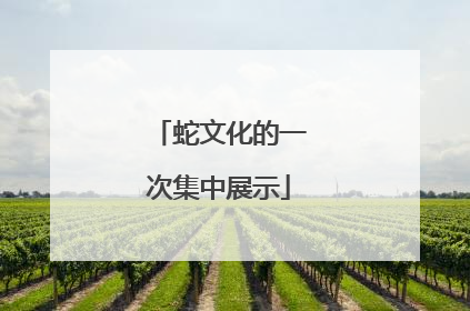 蛇文化的一次集中展示