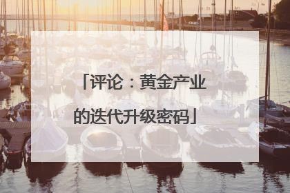 评论：黄金产业的迭代升级密码