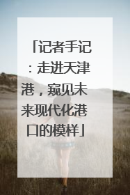 记者手记：走进天津港，窥见未来现代化港口的模样