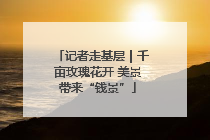 记者走基层｜千亩玫瑰花开 美景带来“钱景”
