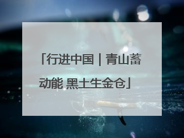 行进中国｜青山蓄动能 黑土生金仓
