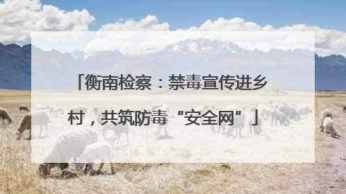 衡南检察：禁毒宣传进乡村，共筑防毒“安全网”