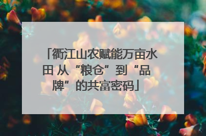 衢江山农赋能万亩水田 从“粮仓”到“品牌”的共富密码