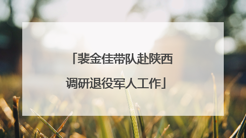 裴金佳带队赴陕西调研退役军人工作