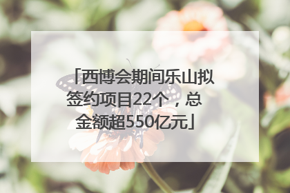 西博会期间乐山拟签约项目22个，总金额超550亿元