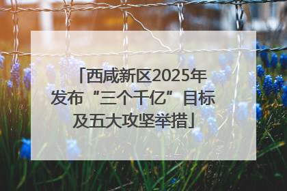 西咸新区2025年发布“三个千亿”目标及五大攻坚举措