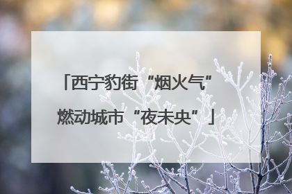 西宁豹街“烟火气” 燃动城市“夜未央”