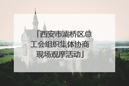 西安市灞桥区总工会组织集体协商现场观摩活动