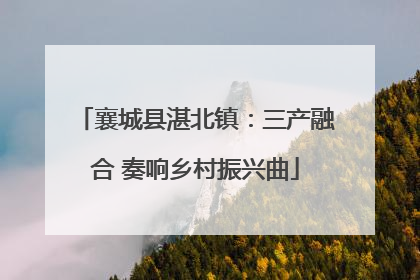 襄城县湛北镇：三产融合 奏响乡村振兴曲