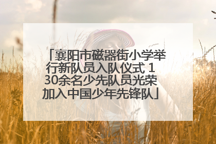 襄阳市磁器街小学举行新队员入队仪式 130余名少先队员光荣加入中国少年先锋队