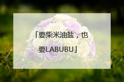 要柴米油盐，也要LABUBU