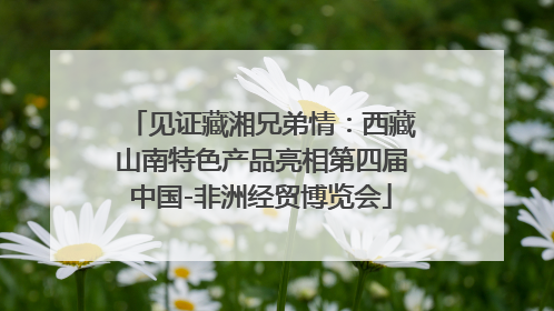见证藏湘兄弟情：西藏山南特色产品亮相第四届中国-非洲经贸博览会