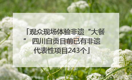 观众现场体验非遗“大餐” 四川自贡目前已有非遗代表性项目243个