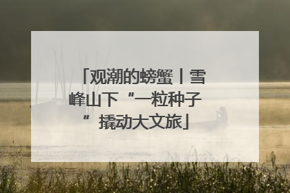 观潮的螃蟹丨雪峰山下“一粒种子”撬动大文旅