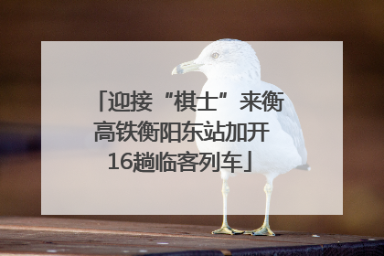 迎接“棋士”来衡 高铁衡阳东站加开16趟临客列车
