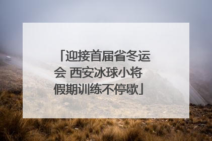 迎接首届省冬运会 西安冰球小将假期训练不停歇