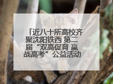 近八十所高校齐聚沈阳铁西 第二届“双高促育 赢战高考”公益活动即将启幕