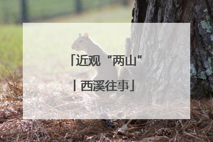 近观“两山”丨西溪往事