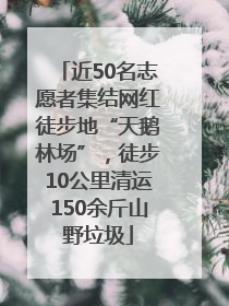 近50名志愿者集结网红徒步地“天鹅林场”，徒步10公里清运150余斤山野垃圾