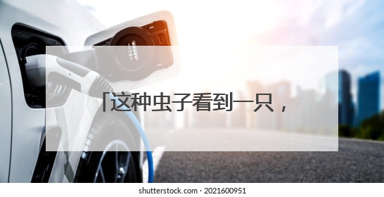 这种虫子看到一只，说明你家里已有很多只了！（不是蟑螂）