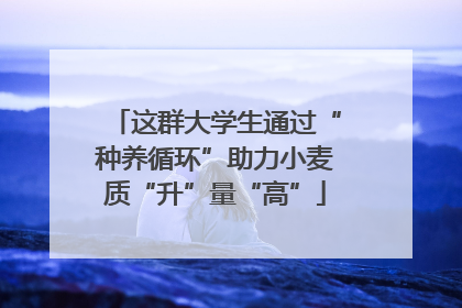 这群大学生通过“种养循环”助力小麦质“升”量“高”