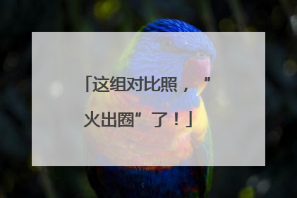 这组对比照，“火出圈”了！