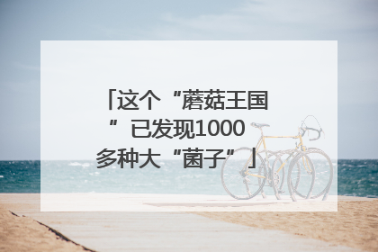 这个“蘑菇王国”已发现1000多种大“菌子”