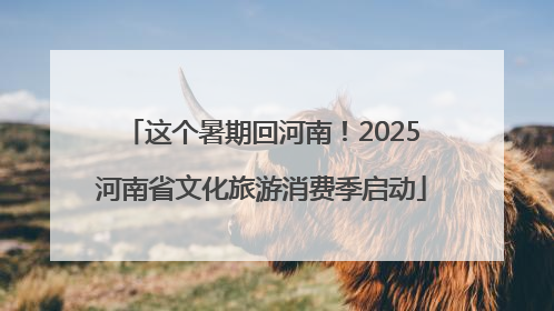 这个暑期回河南！2025河南省文化旅游消费季启动