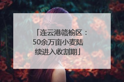 连云港赣榆区：50余万亩小麦陆续进入收割期