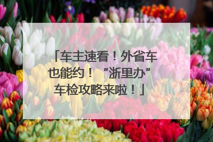 车主速看！外省车也能约！“浙里办”车检攻略来啦！
