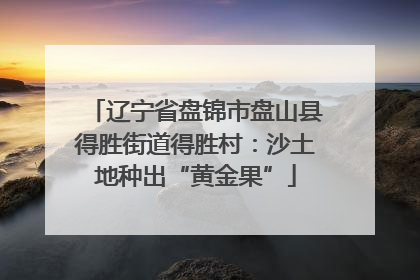 辽宁省盘锦市盘山县得胜街道得胜村：沙土地种出“黄金果”