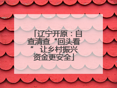 辽宁开原：自查清查“回头看” 让乡村振兴资金更安全