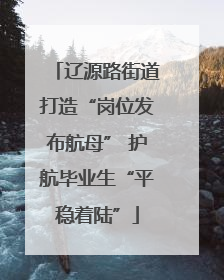 辽源路街道打造“岗位发布航母” 护航毕业生“平稳着陆”