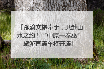 豫渝文旅牵手，共赴山水之约！“中原—奉巫”旅游直通车将开通