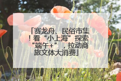 赛龙舟、民俗市集！看“小上海”探索“端午+”，拉动商旅文体大消费