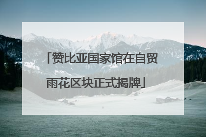 赞比亚国家馆在自贸雨花区块正式揭牌