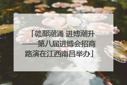 赣鄱潮涌 进博潮升——第八届进博会招商路演在江西南昌举办