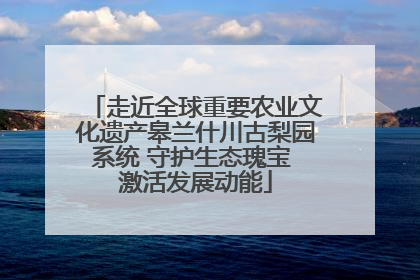 走近全球重要农业文化遗产皋兰什川古梨园系统 守护生态瑰宝 激活发展动能
