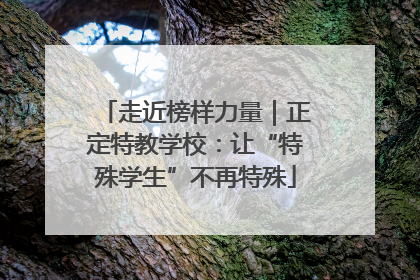 走近榜样力量｜正定特教学校：让“特殊学生”不再特殊