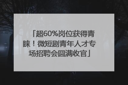 超60%岗位获得青睐！微短剧青年人才专场招聘会圆满收官