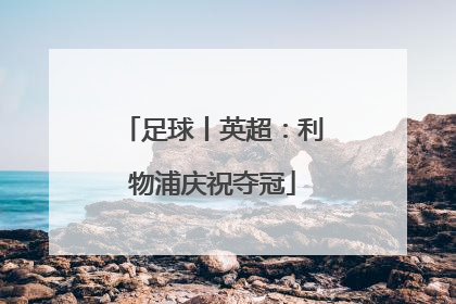 足球丨英超：利物浦庆祝夺冠