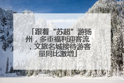 跟着“苏超”游扬州，多重福利迎客流，文旅名城接待游客量同比激增