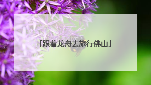 跟着龙舟去旅行佛山
