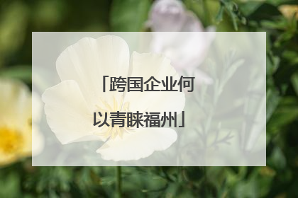 跨国企业何以青睐福州
