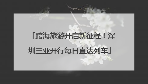 跨海旅游开启新征程！深圳三亚开行每日直达列车