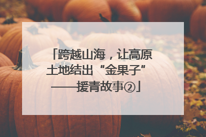 跨越山海，让高原土地结出“金果子”——援青故事②