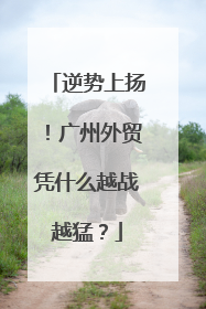 逆势上扬！广州外贸凭什么越战越猛？
